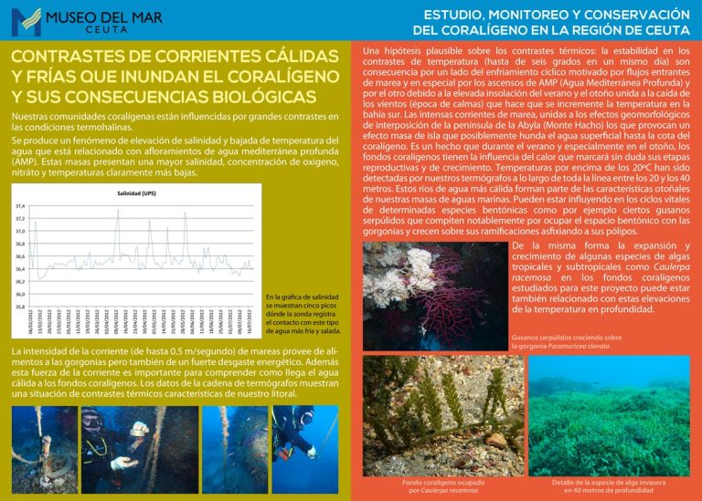 FMMC-publicaciones-coraligeno-ceuta-03