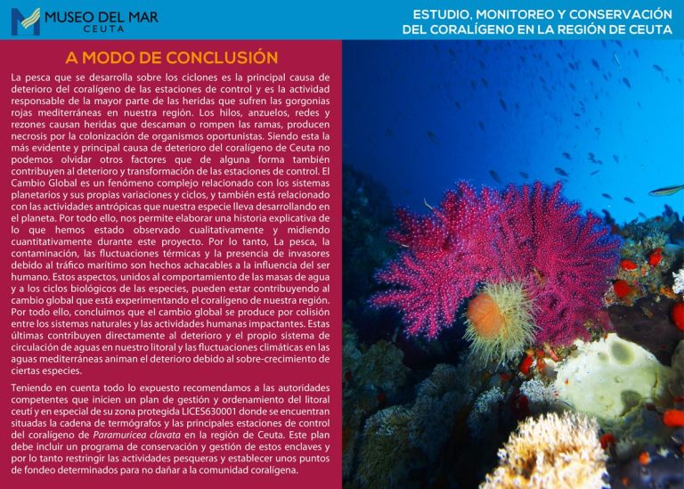 FMMC-publicaciones-coraligeno-ceuta-06