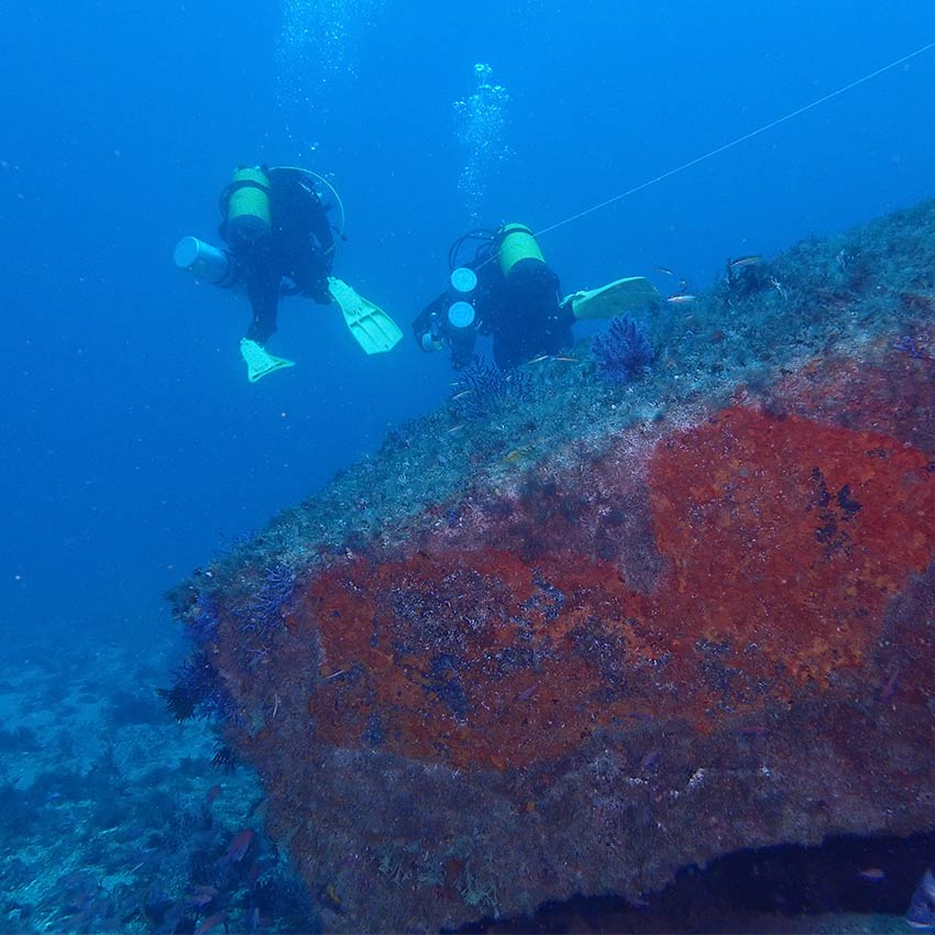 Personal de la Fundación Museo del Mar de Ceuta descendiendo durante una inmersión para el proyecto MESO_Alborán.