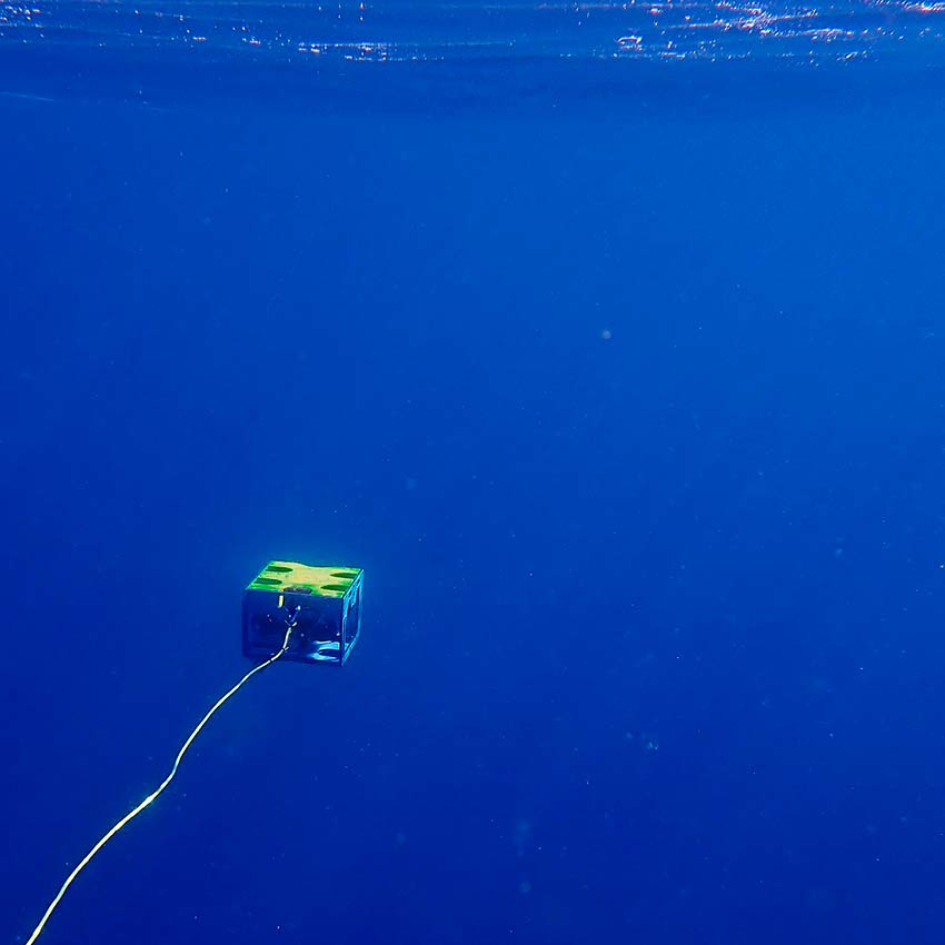 El ROV - Explorando sin límites - Fundación Museo del Mar de Ceuta